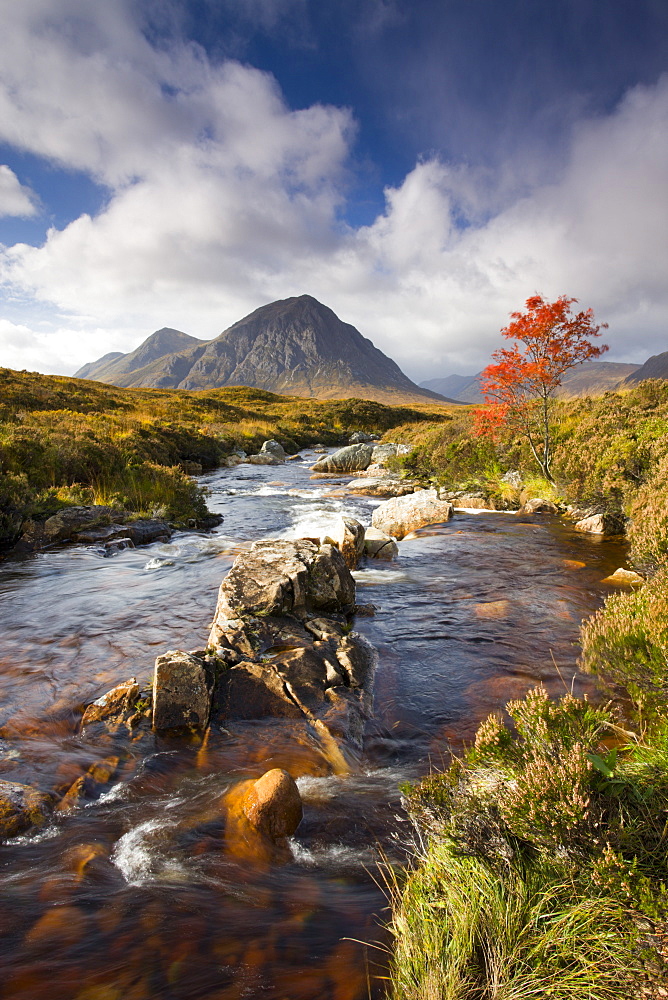 A stream runs through an autumnal Rannoch Moor towards Buachaille Etive Mor, Highlands, Scotland, United Kingdom, Europe