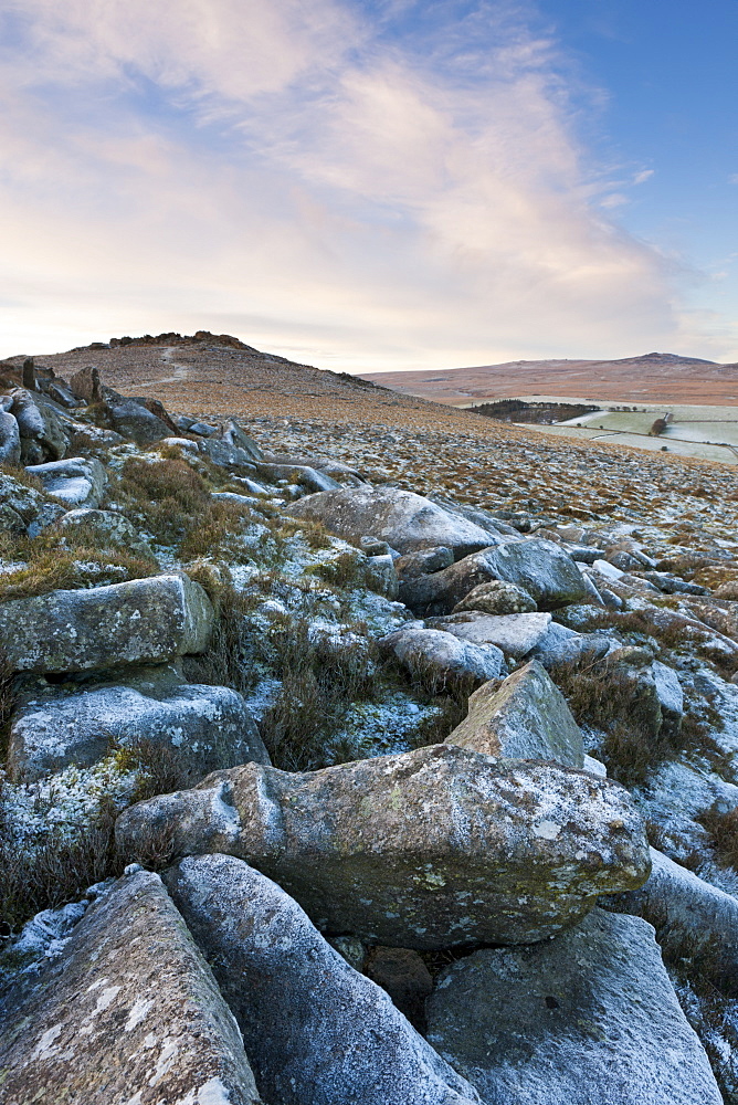 Frost on Belstone Tor in Dartmoor National Park, Devon, England, United Kingdom, Europe