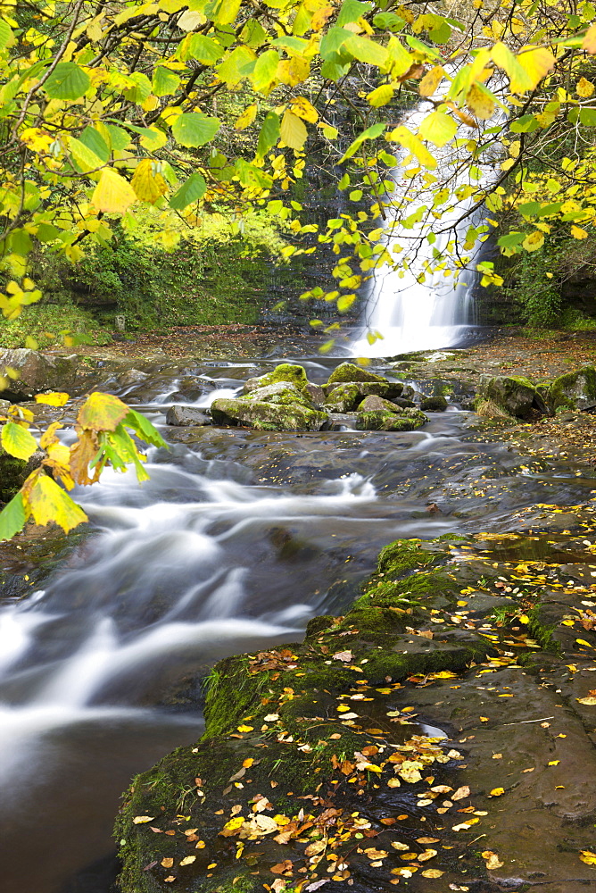 Waterfall and autumn foliage at Blaen-y-Glyn, Brecon Breacons National Park, Powys, Wales, United Kingdom, Europe