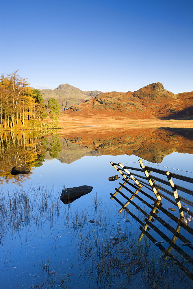 Mirror like reflections at Blea Tarn, Lake District National Park, Cumbria, England, United Kingdom, Europe