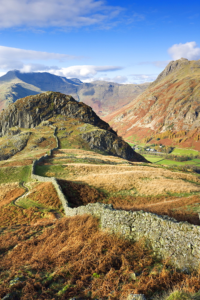 Drystone wall winding across mountain ridge overlooking Great Langdale, Lake District, Cumbria, England, United Kingdom, Europe