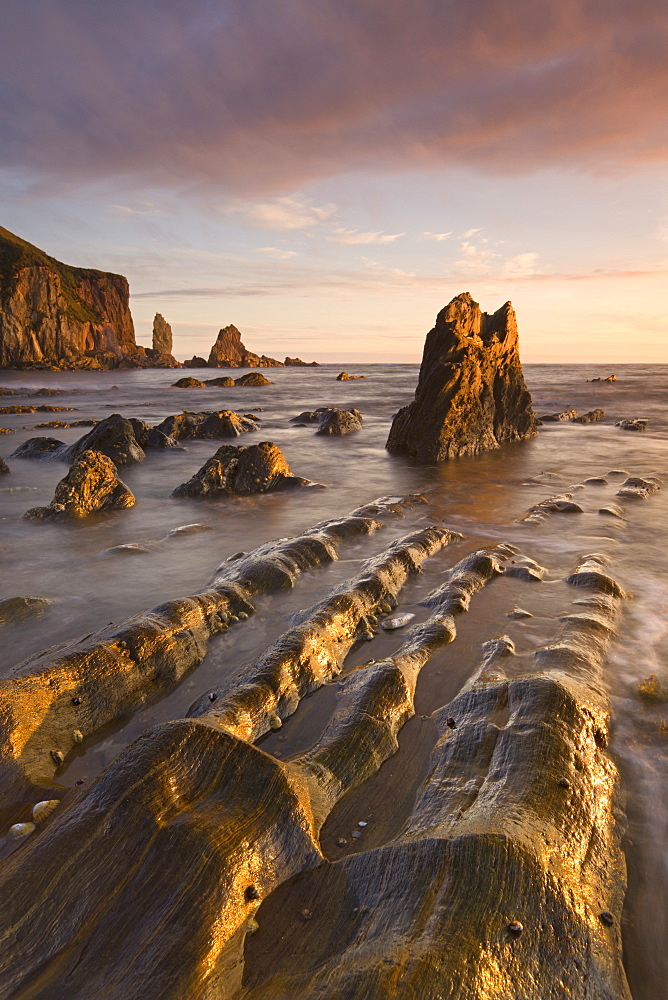 Golden evening sunlight bathes the rocks and ledges at Bantham in the South Hams, Devon, England, United Kingdom, Europe