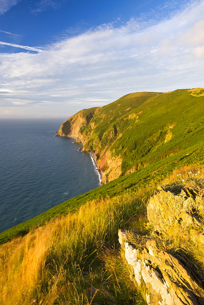 Cliffs near Foreland Point, Lynmouth, Exmoor National Park, Devon, England, United Kingdom, Europe