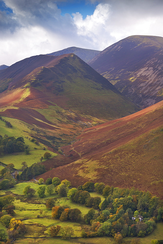 Rigg Beck and Crag Hill, Lake District, Cumbria, England, United Kingdom, Europe 