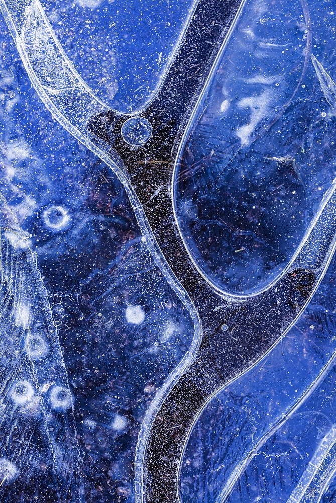 Ice pattern in frozen pond, Dartmoor, Devon, England, United Kingdom, Europe 