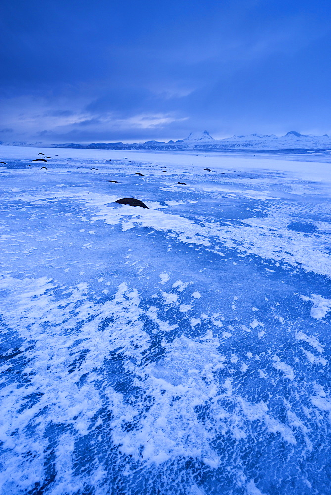 Frozen winter landscape in Iceland, Polar Regions 