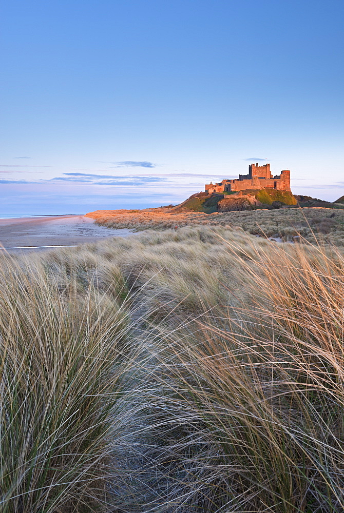 Evening sunlight illuminates Bamburgh Castle, Northumberland, England, United Kingdom, Europe 