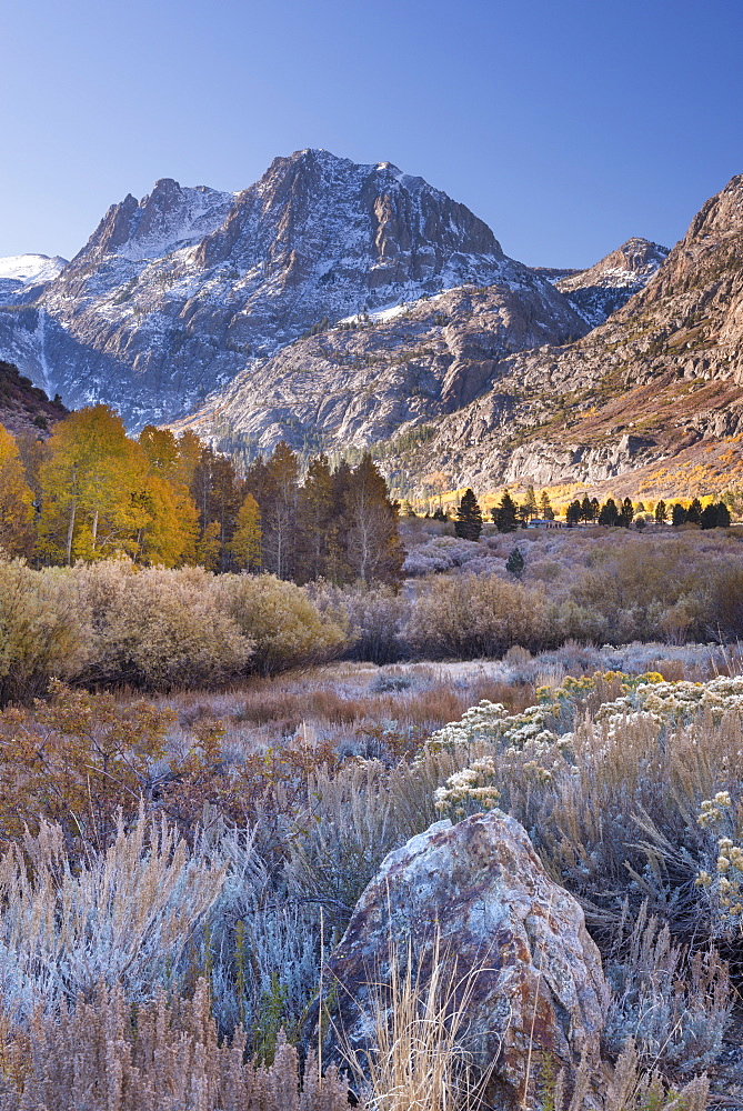 Frosty autumn morning on June Lake Loop in the Eastern Sierra Mountains, California, United States of America, North America