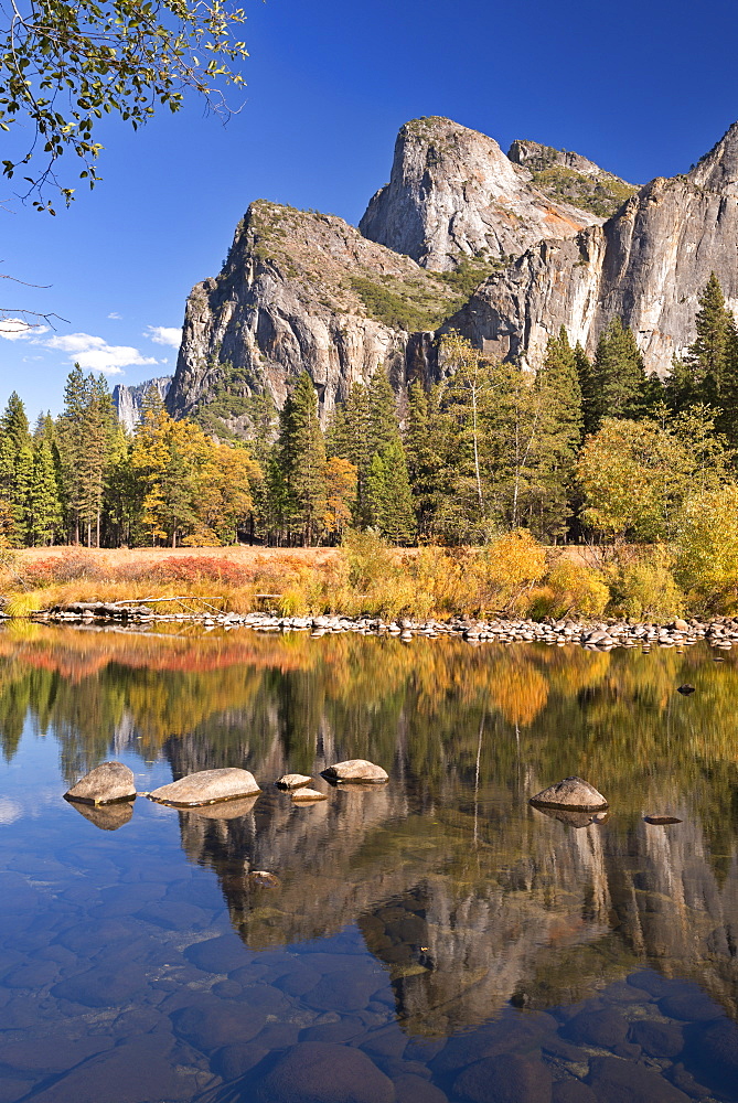 Autumn scenery near the Merced River in Yosemite Valley, Yosemite National Park, UNESCO World Heritage Site, California, United States of America, North America