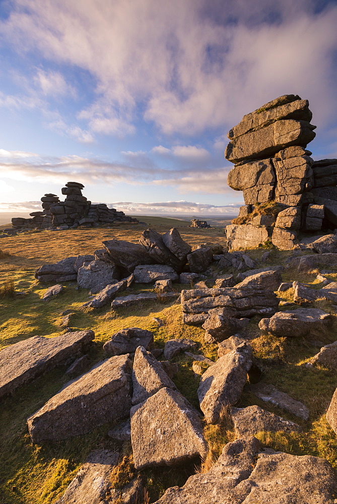 Rich evening sunlight at Great Staple Tor in winter, Dartmoor National Park, Devon, England, United Kingdom, Europe