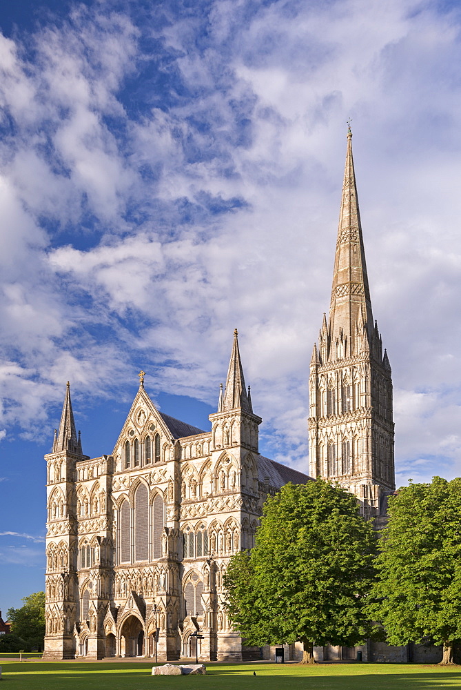 Salisbury Cathedral on a summer evening, Salisbury, Wiltshire, England, United Kingdom, Europe