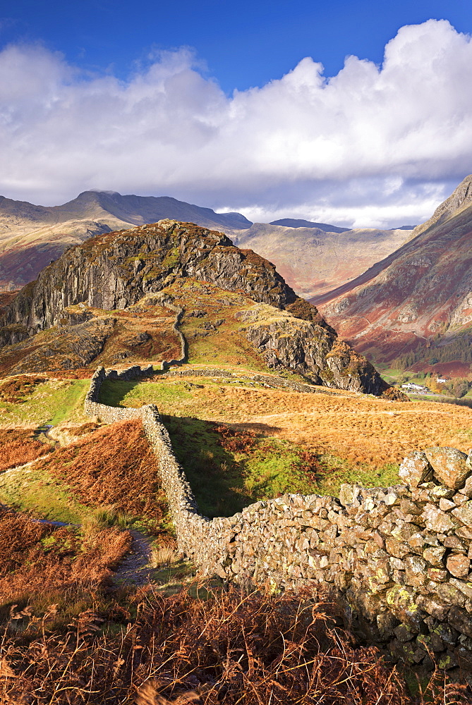 Drystone wall on Lingmoor Fell in autumn in the Lake District National Park, Cumbria, England, United Kingdom, Europe