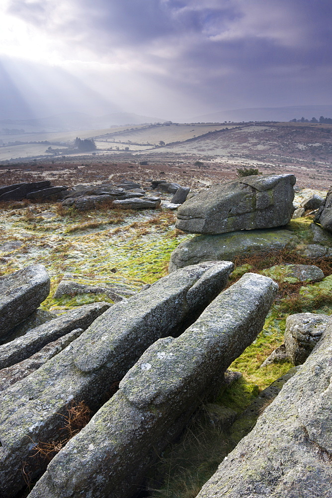 Granite outcrops on Hayne Down, Dartmoor National Park, Devon, England, United Kingdom, Europe