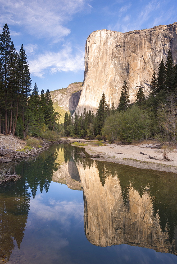 El Capitan reflected in the Merced River in Yosemite Valley, Yosemite National Park, UNESCO World Heritage Site, California, United States of America, North America