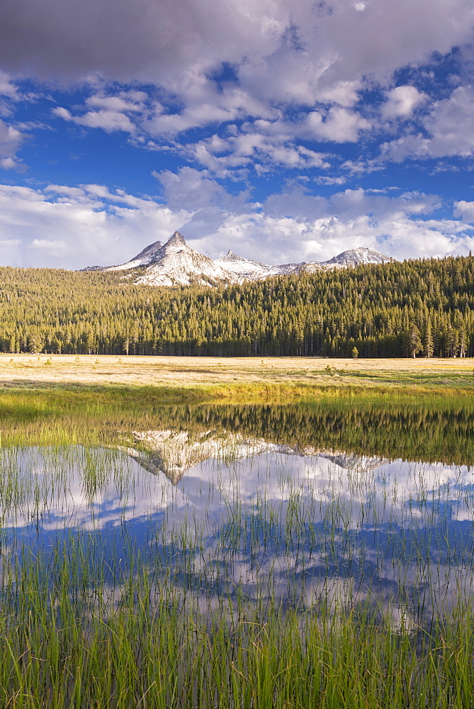 Cathedral Peak reflected in seasonal ponds on Tuolumne Meadows, Yosemite National Park, UNESCO World Heritage Site, California, United States of America, North America