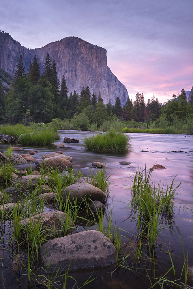 The River Merced and El Capitan at sunset, Yosemite Valley, UNESCO World Heritage Site, California, United States of America, North  America