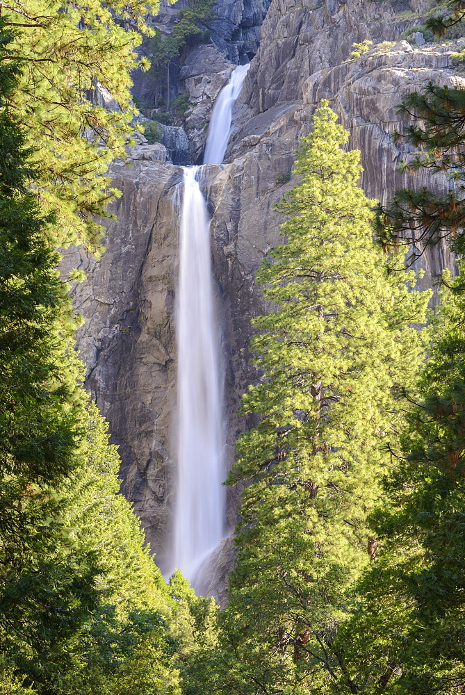 Lower Yosemite Falls in Yosemite Valley, UNESCO World Heritage Site, California, United States of America, North America