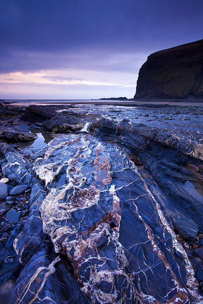 Quartz veins in the rock bed at Crackington Haven, Cornwall, England, United Kingdom, Europe