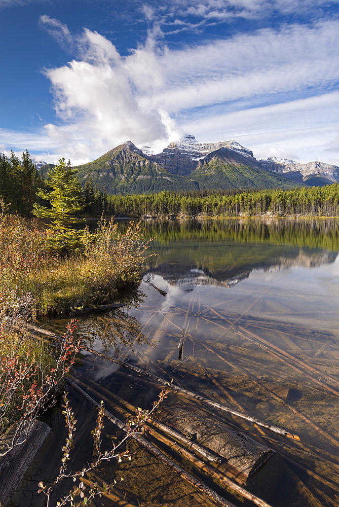 Autumnal morning at Herbert Lake in the Canadian Rockies, Banff National Park, UNESCO World Heritage Site, Alberta, Canada, North America