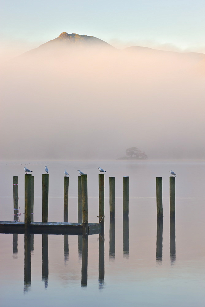 Derwent Water jetty on a misty autumn morning, Keswick, Lake District National Park, Cumbria, England, United Kingdom, Europe