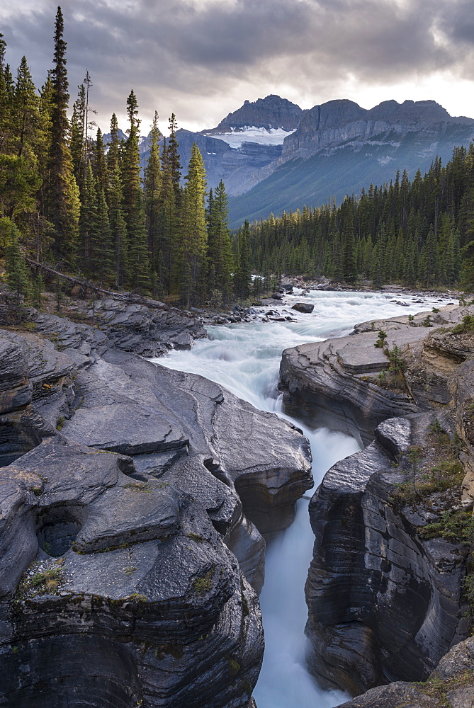 Mistaya Canyon off the Icefields Parkway in the Canadian Rockies, Alberta, Canada, North America