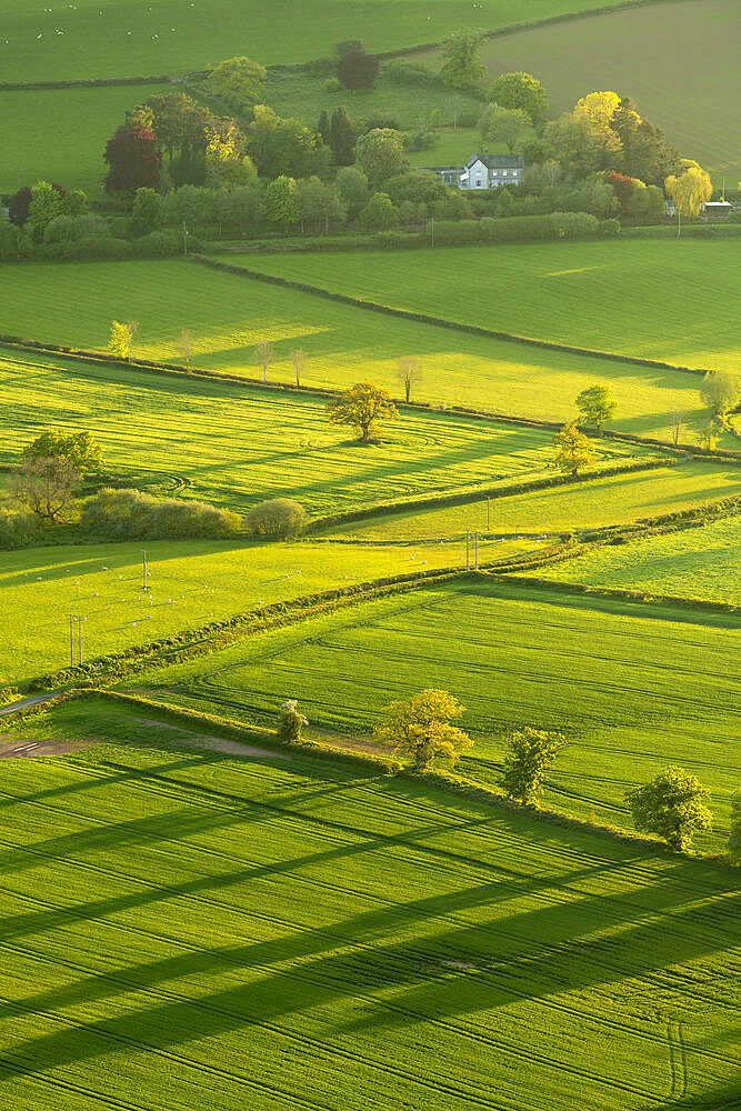 Lush rolling farmland in spring in the Brecon Beacons National Park, Powys, Wales, United Kingdom, Europe