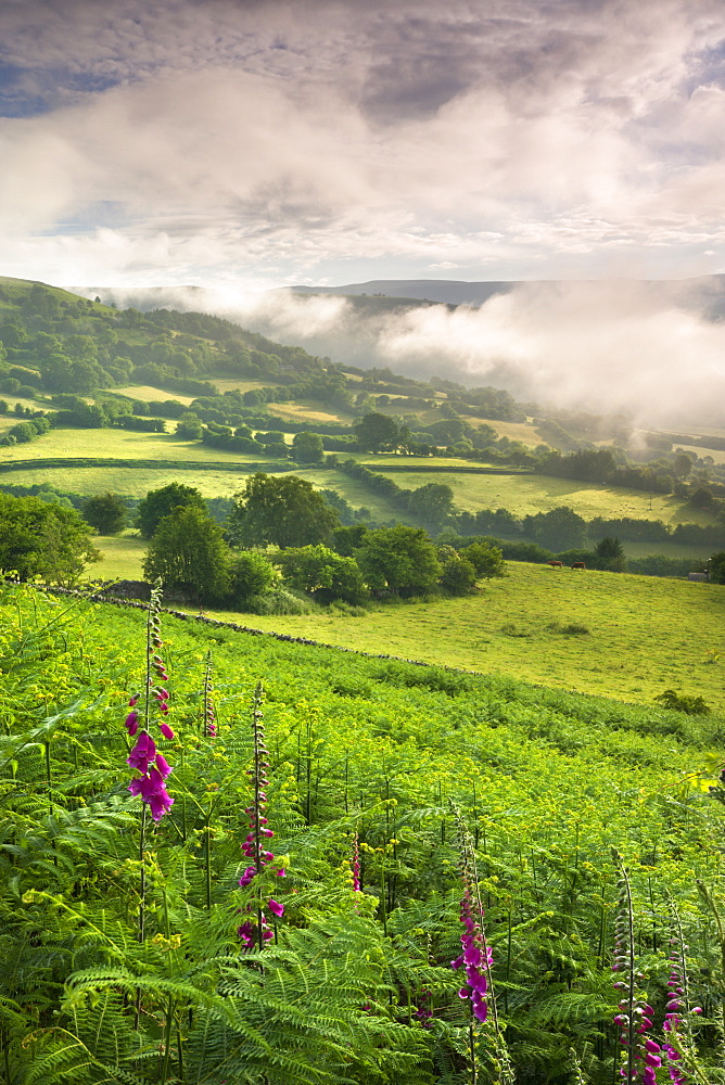 Mist hanging over countryside near Bwlch, Brecon Beacons National Park, Powys, Wales, United Kingdom, Europe