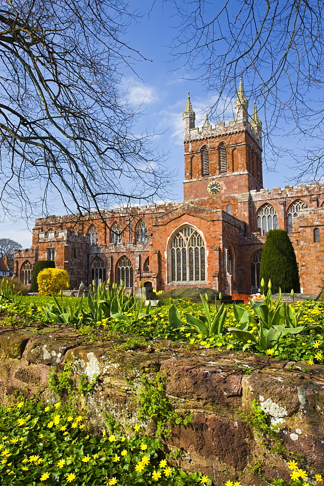 Church of the Holy Cross, the parish church of Crediton in early Spring, Devon, England, United Kingdom, Europe