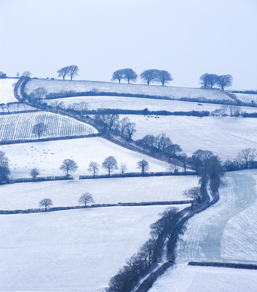 Snow covered winding country lane and rural landscape near Stockleigh Pomeroy, Devon, England, United Kingdom, Europe