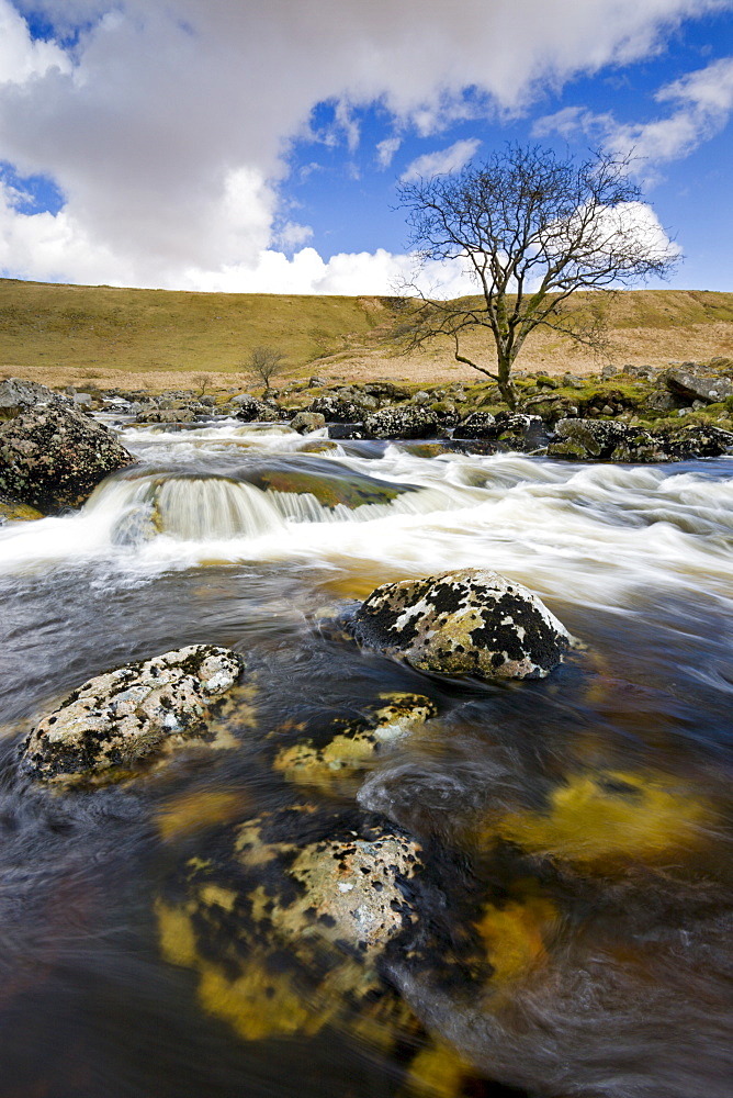 River Tavy flowing through Tavy Cleave, Dartmoor National Park, Devon, England, United Kingdom, Europe