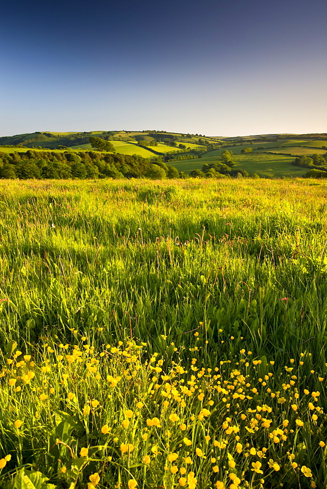 Rolling countryside near Wheddon Cross, Exmoor National Park, Somerset, England, United Kingdom, Europe