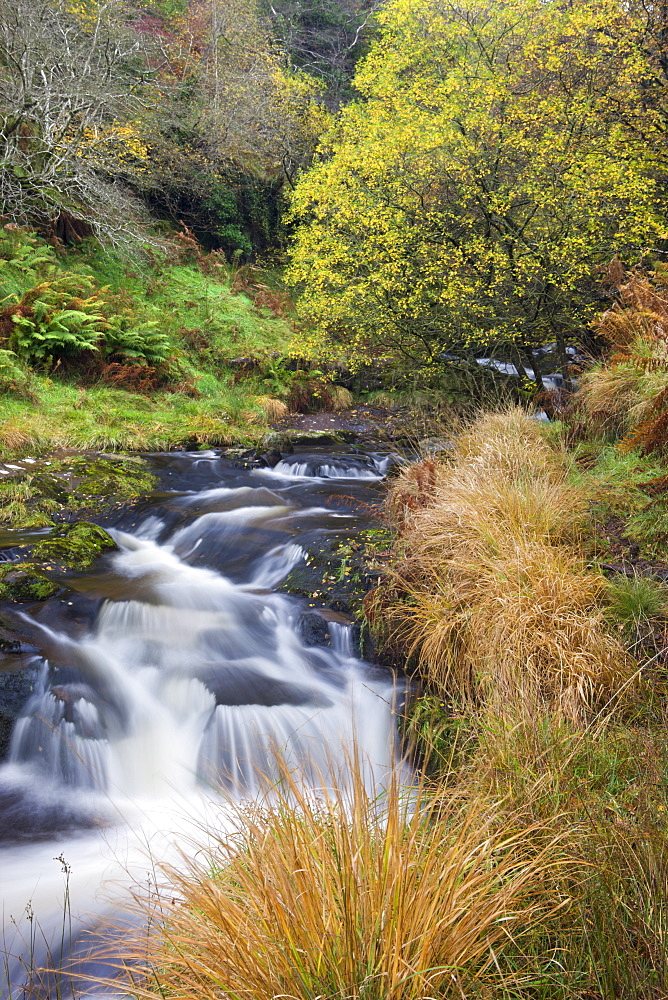 The River Caerfanell at Blaen-y-glyn, Brecon Beacons National Park, Powys, Wales, United Kingdom, Europe