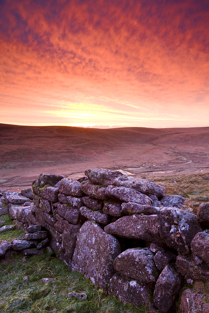 Spectacular sunrise above Irishmans Wall on Belstone Common in winter, Dartmoor National Park, Devon, England, United Kingdom. Europe