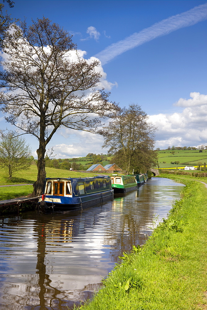 Narrowboats moored on the Monmouthshire and Brecon Canal near Pencelli, Brecon Beacons National Park, Powys, Wales, United Kingdom, Europe