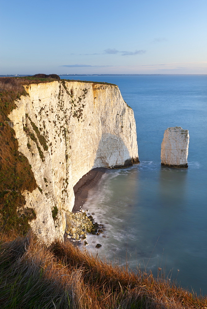 The Parson's Barn rock stack near Handfast Point, Ballard Down, Jurassic Coast, UNESCO World Heritage Site, Dorset, England, United Kingdom, Europe