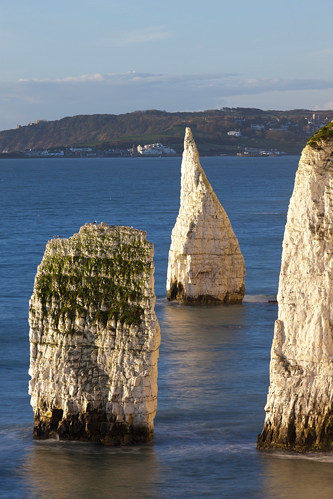 Parson's Barn and The Pinnacles from Handfast Point, Jurrasic Coast, UNESCO World Heritage Site, Dorset, England, United Kingdom, Europe