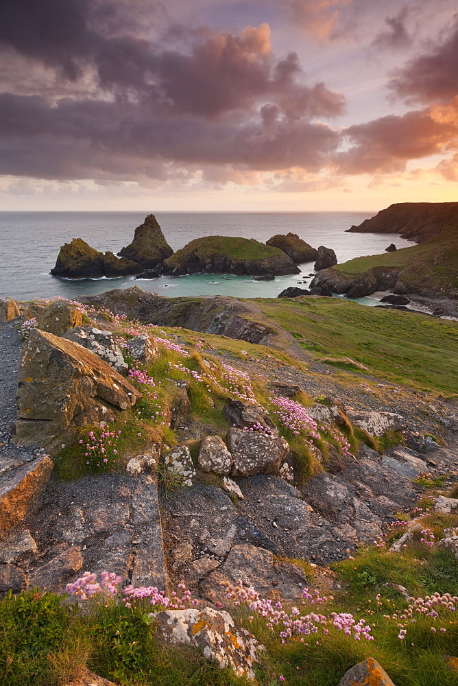 Steps on the South West Coast Path above Kynance Cove, Lizard, Cornwall, England, United Kingdom, Europe