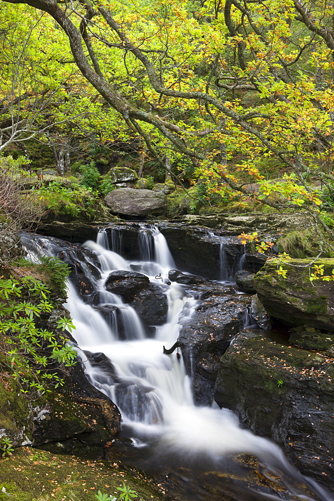 Waterfall on Arklet Water near Inversnaid, Loch Lomond and The Trossachs National Park, Stirling, Scotland, United Kingdom, Europe