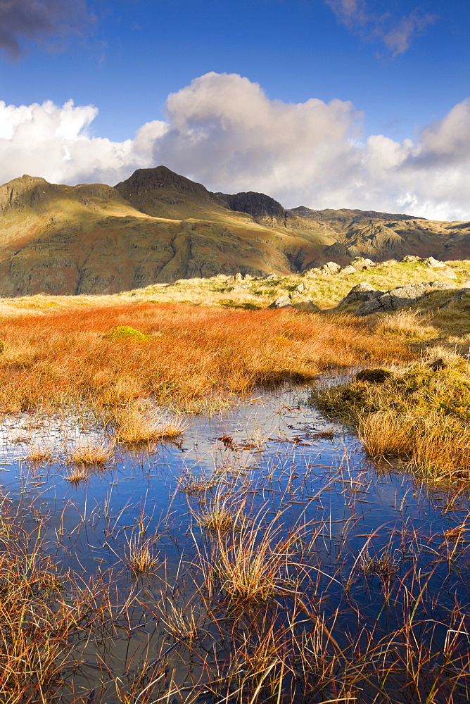 The Langdale Pikes, Lake District National Park, Cumbria, England, United Kingdom, Europe