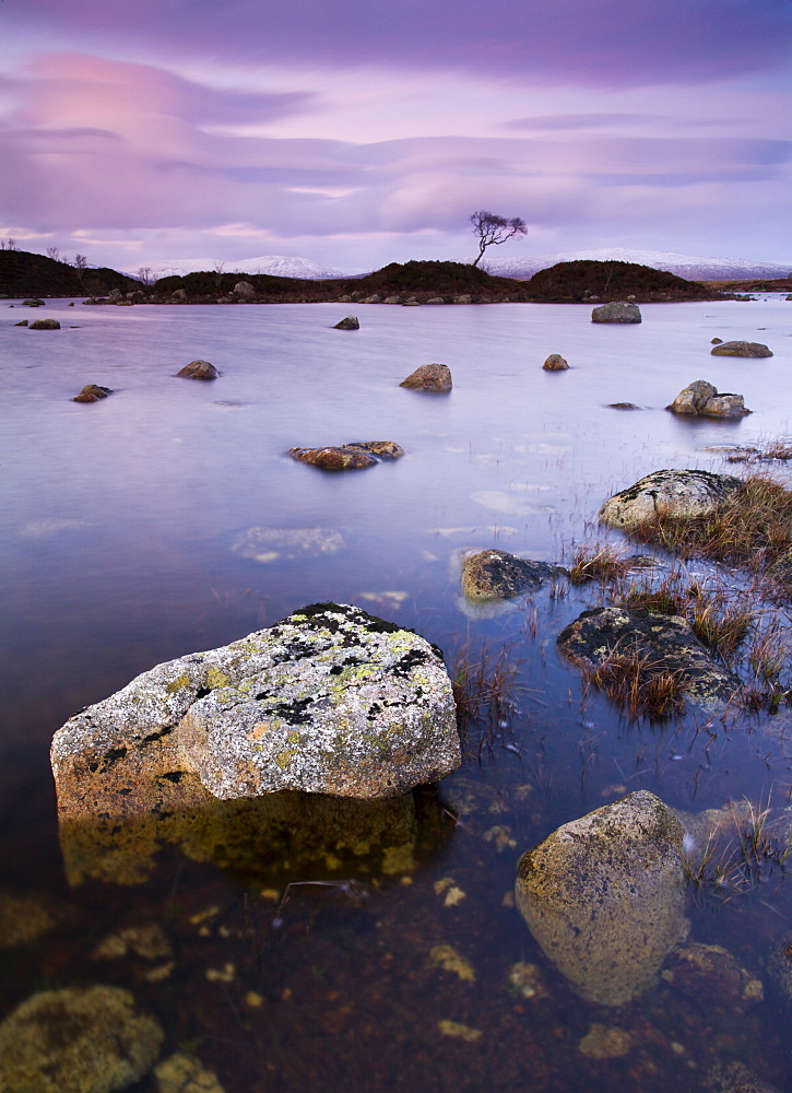 Lochan n-ah Achlaise on Rannoch Moor in twilight, Highlands, Scotland, United Kingdom, Europe