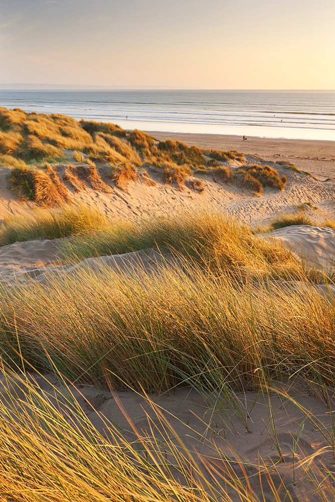 Saunton Sands from Braunton Burrows on a summer evening, Devon, England, United Kingdom, Europe