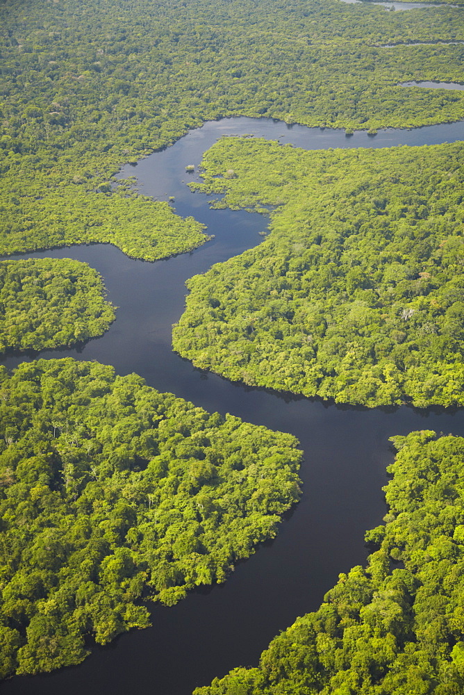 Aerial view of Amazon rainforest and tributary of the Rio Negro, Manaus, Amazonas, Brazil, South America 