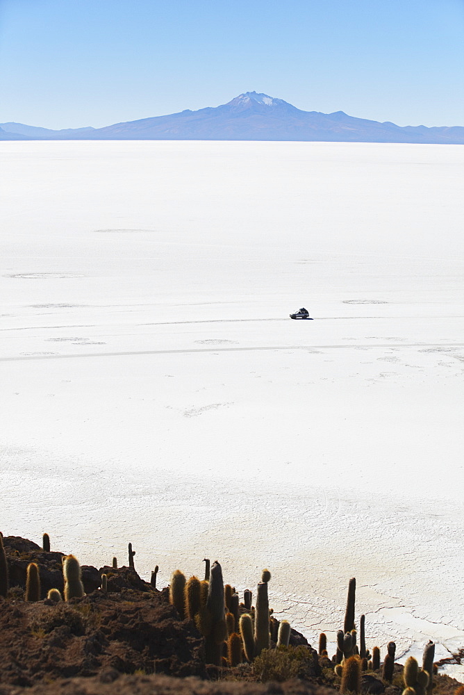 Tourist jeep on Salar de Uyuni (Salt Flats of Uyuni) from Isla del Pescado (Fish Island), Potosi Department, Bolivia, South America