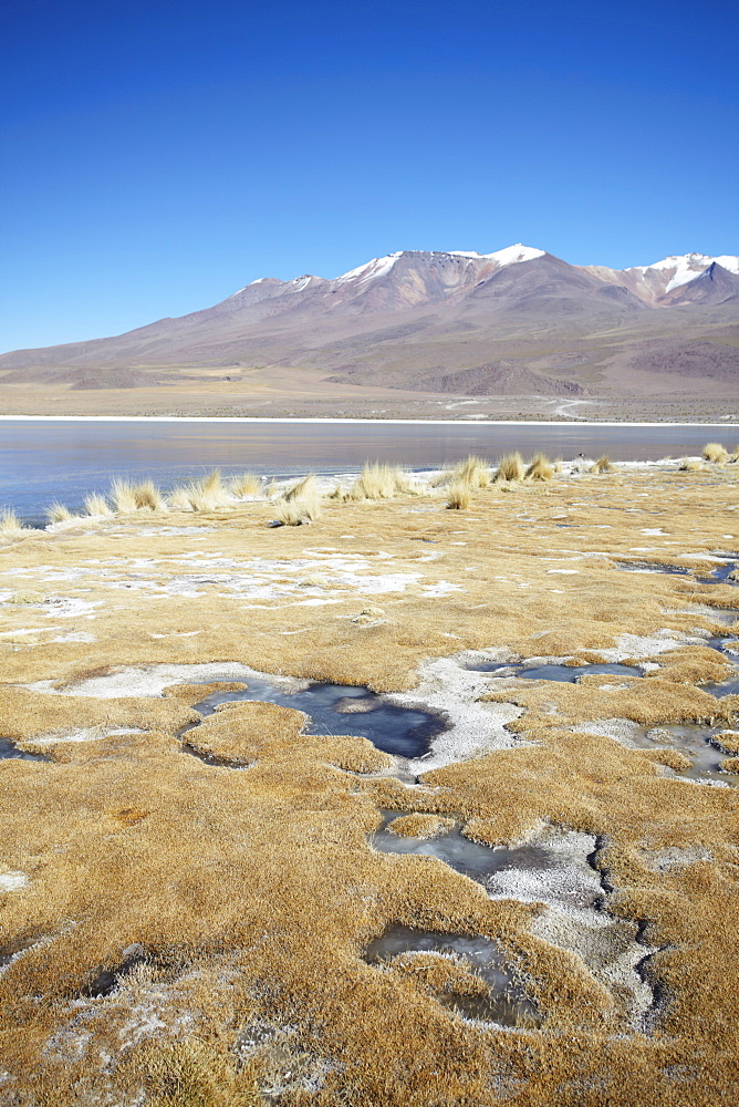 Landscape of Laguna Canapa on Altiplano, Potosi Department, Bolivia, South America