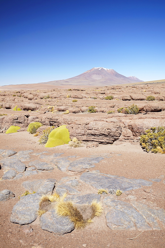 Landscape of Altiplano, Potosi Department, Bolivia, South America