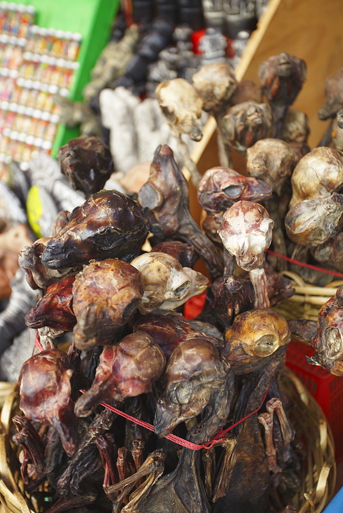 Dried llama foetuses in Witches' Market, La Paz, Bolivia, South America