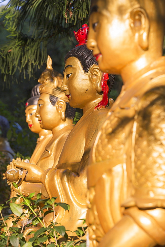 Statues at Ten Thousand Buddhas Monastery, Shatin, New Territories, Hong Kong, China, Asia