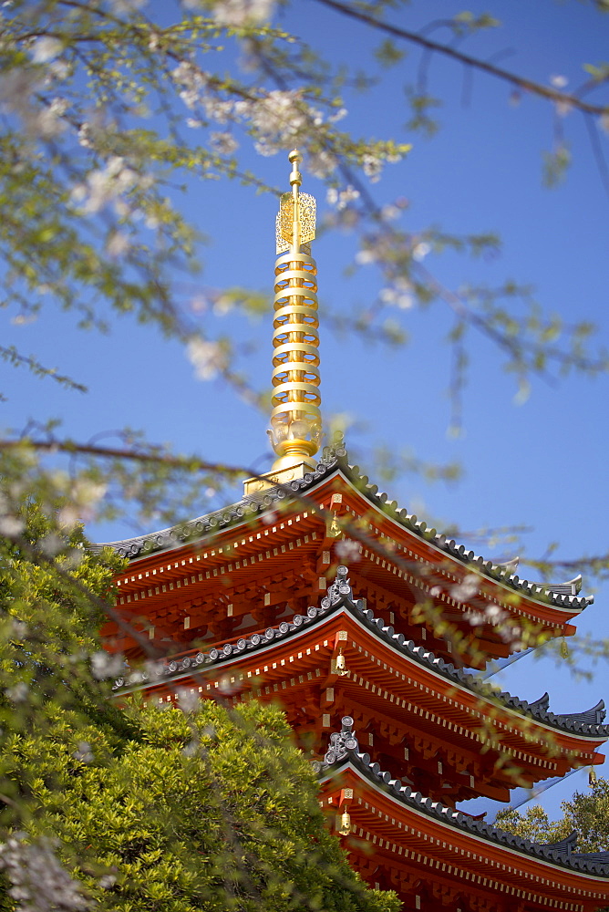 Pagoda at Tocho-ji Temple, Fukuoka, Kyushu, Japan, Asia