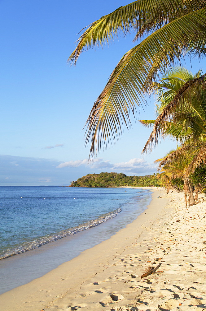 Beach on Mana Island, Mamanuca Islands, Fiji, South Pacific, Pacific