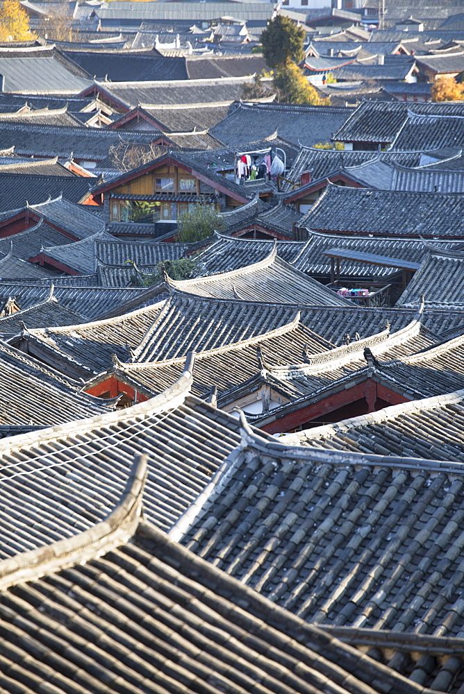 View of Lijiang, UNESCO World Heritage Site, Yunnan, China, Asia